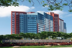 Hotel Melia Santiago 5*