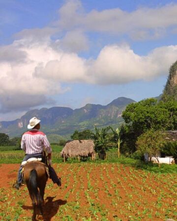 Tour Verdadera Cuba
